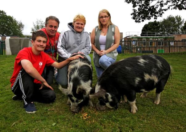 Joel and Steve Whitaker and Julie and Rebekah Mackenzie with the pigs at Highbury School, Rastrick.