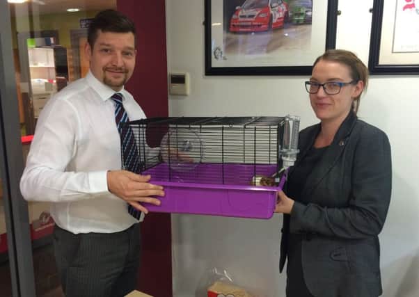 Tony Robinson, service manager at JCT600 Vauxhall Bradford, with senior service adviser, Zoe Randle, who has given Sparky a new home