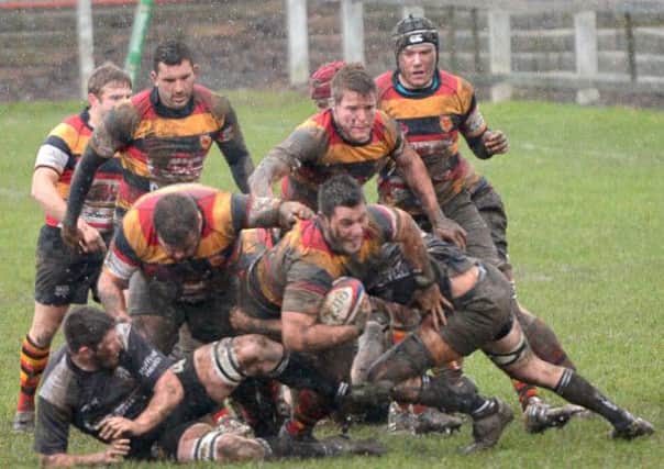 Harrogae Rugby in action against Otley (Richard Bown)