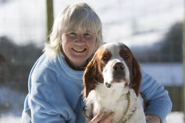 Champion dog breeder Val Wade with Irish red and white setter Max.