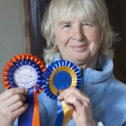 Champion dog breeder Val Wade with rosettes won by Irish red and white setter Max.