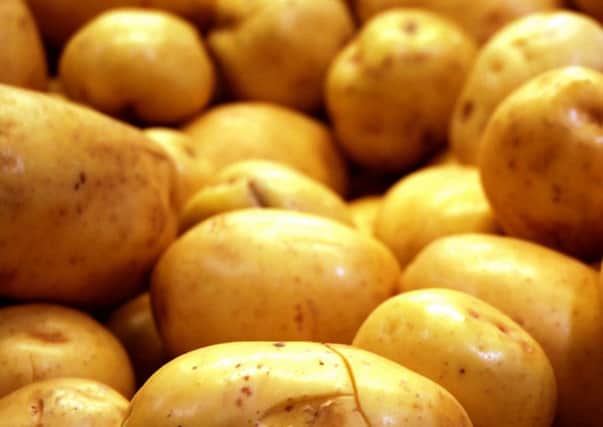 January 24 potatoes 2