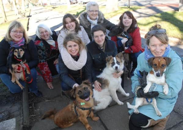 NADV 1502083AM1 Miss Mollies Dog Rescue Service. Julie Hamilton (far right) with volunteers and adopters of Miss Mollies Dog Rescue. Picture : Adrian Murray. (1502083AM1)