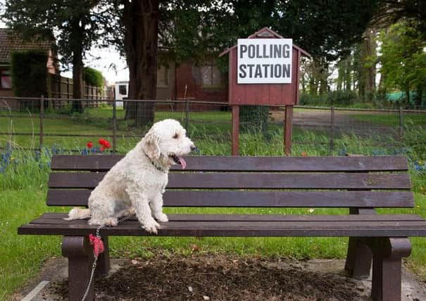 A dog waits for its owner outside a polling booth