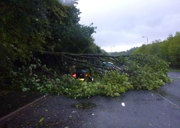 A tree fell on top of this car in Halifax Road, Todmorden, during strong winds. Picture sent in by Anne Docherty