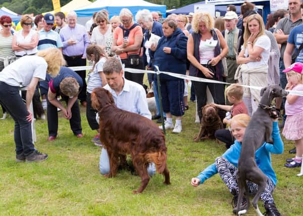 Dog show at Todmorden Agricultural Show, Centre Vale Park, Todmorden