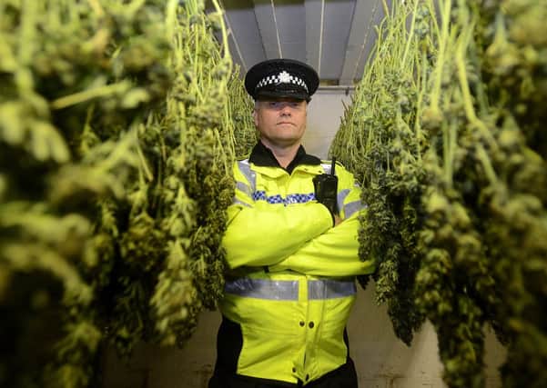 Newspaper: Wakefield Express.
Story: Horbury Bridge cannabis farm shut down by police.
Inspector Ian Williams is pictured in one of the drying rooms, used as the name suggests, to dry out the newly harvested crops.
Photo Date: 18/06/15
Picture Ref: AB084a0615