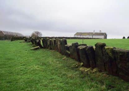 Vaccary walls near Norland Town Road. Photographer : Allan Friswell