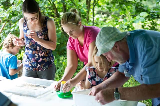 Pond dipping with the National Trust, at Hardcastle Crags,  Hebden Bridge