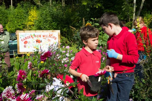 Children from Cragg Vale Primary in the flower beds the helped to plant at Red Acre Allotments, Mytholmroyd