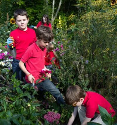 Children from Cragg Vale Primary in the flower beds the helped to plant at Red Acre Allotments, Mytholmroyd