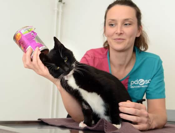 Felix the cat needed emergency surgery to remove a tin of food which got stuck on his head.
