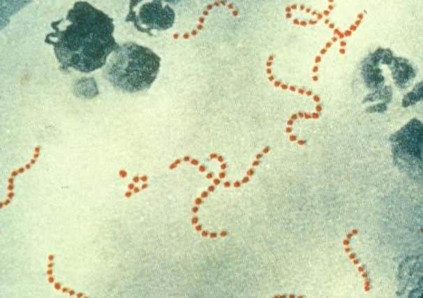 Yorkshire cases rocket of '˜flesh eating' disease linked to scarlet fever