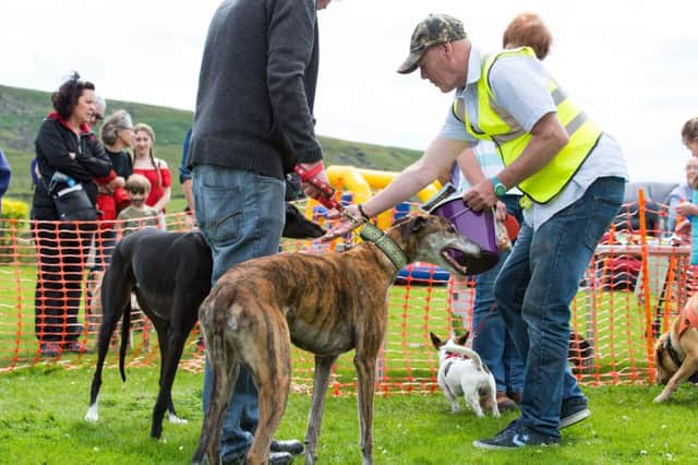 Pennine Animal Welfare Society Fun Day, Todmorden