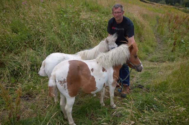 Darren Cole with Shetland ponies Tinkerbell and Twinkle