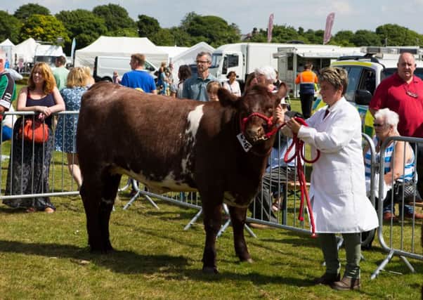 Halifax Agricultural Show 2015.