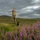 Anthony Dowson  28, Moorland Beat Keeper for the Thimbleby estate, near Northallerton, is pictured counting grouse on the moor with his dog Millie.
Picture: James Hardisty.