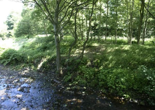 Woodland near the river Elphin, Cragg Vale