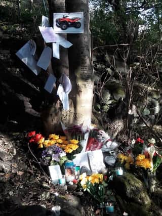A tribute at the tree where Vaughn Hirst fell and suffered injuries that would lead to his death.