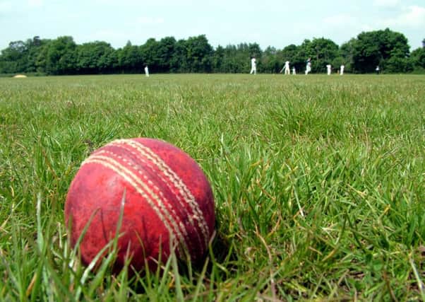 Cricket report