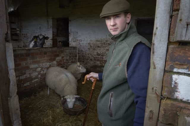 Stephen Short, 20, has only two commercial sheep left after being forced to sell the flock