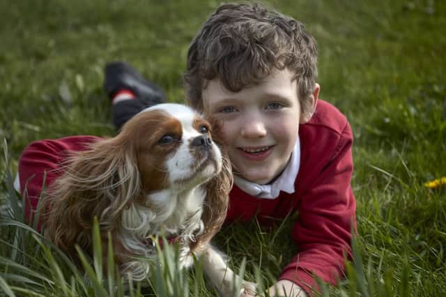 Samuel Savage is raising money to help homeless people by dog walking. Sam with his dog Pippa.