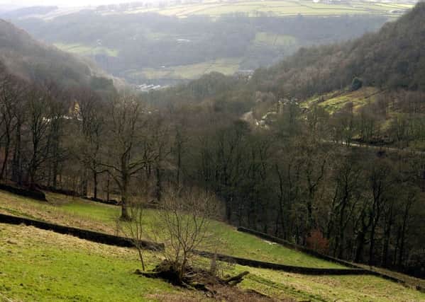 Steve May's 'View from'  the Ted Hughes Arvon Centre at Lumb Bank, Heptonstall.  Lookng back south towards Hebden Bridge.  February 4, 2008.
Picture Bruce Rollinson
