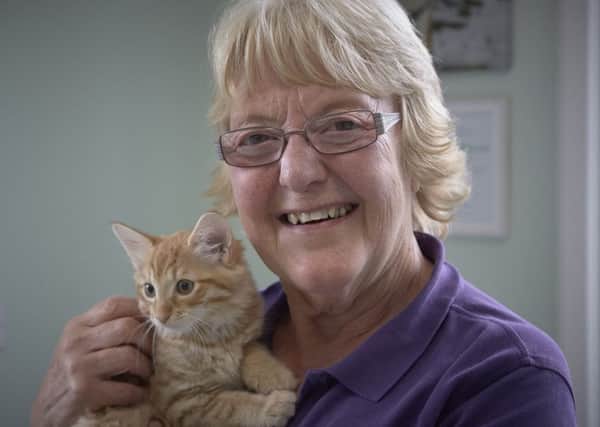 Kathleen Crowther, with kitten Garfield, at Hird and Partners, Halifax