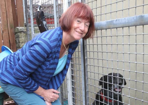 30th anniversary of RSPCA animal centre at Wade Street, Halifax
Pictured is trustee Kath Airey at the kennels