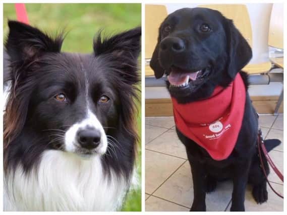 Casey from Halifax (left) and Ishka from Scotland (right)
