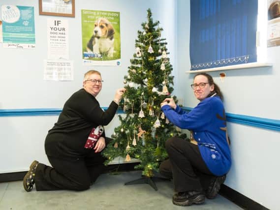 Shearbridge Vets receptionists Julie Sutcliffe (left) and Lucy Bashforth (right) with the memorial tree in the waiting room