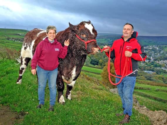 Mark and Tracy Severn with Millerston Jester