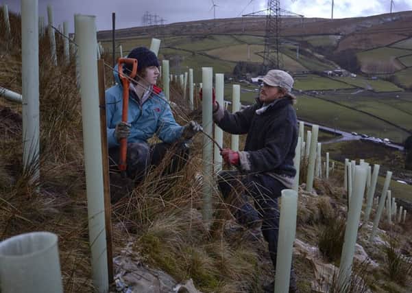 Gorpley planting: Treesponability volunteers Alex Tull and Eddie Thornton at work