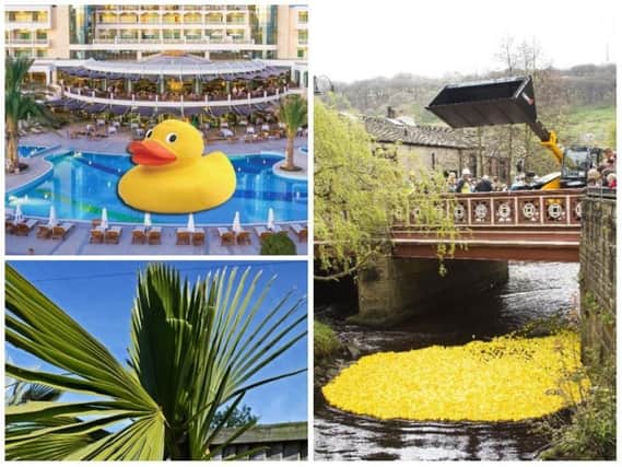 Winner of this year's duck race will win a holiday to Cyprus