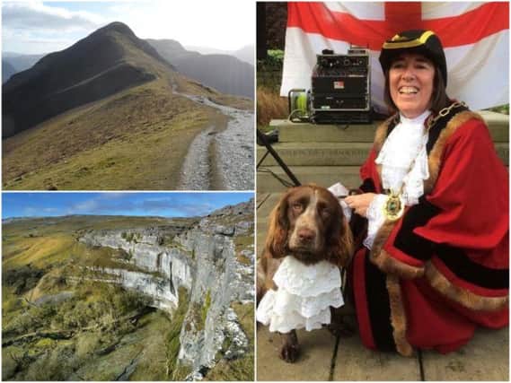 The Mayor will be taking on five walks in aid of charity