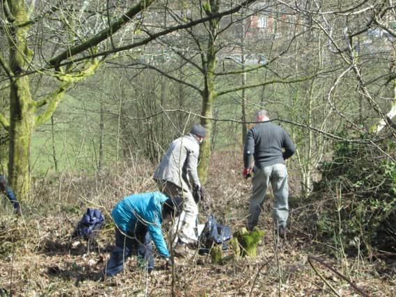 Volunteers clearing the view at Chimney Field